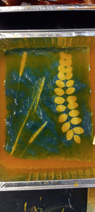 Cyanotype Workshop Part Two; Toning, Natural Dyes, and Silkscreening