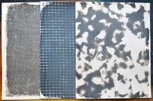 Load image into Gallery viewer, Cyanotype Workshop Part Two; Toning, Natural Dyes, and Silkscreening