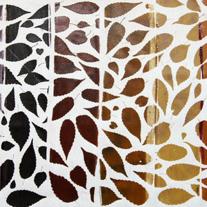 NEW! Printing with Natural Dyes