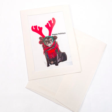 Pug Holiday Greeting Cards