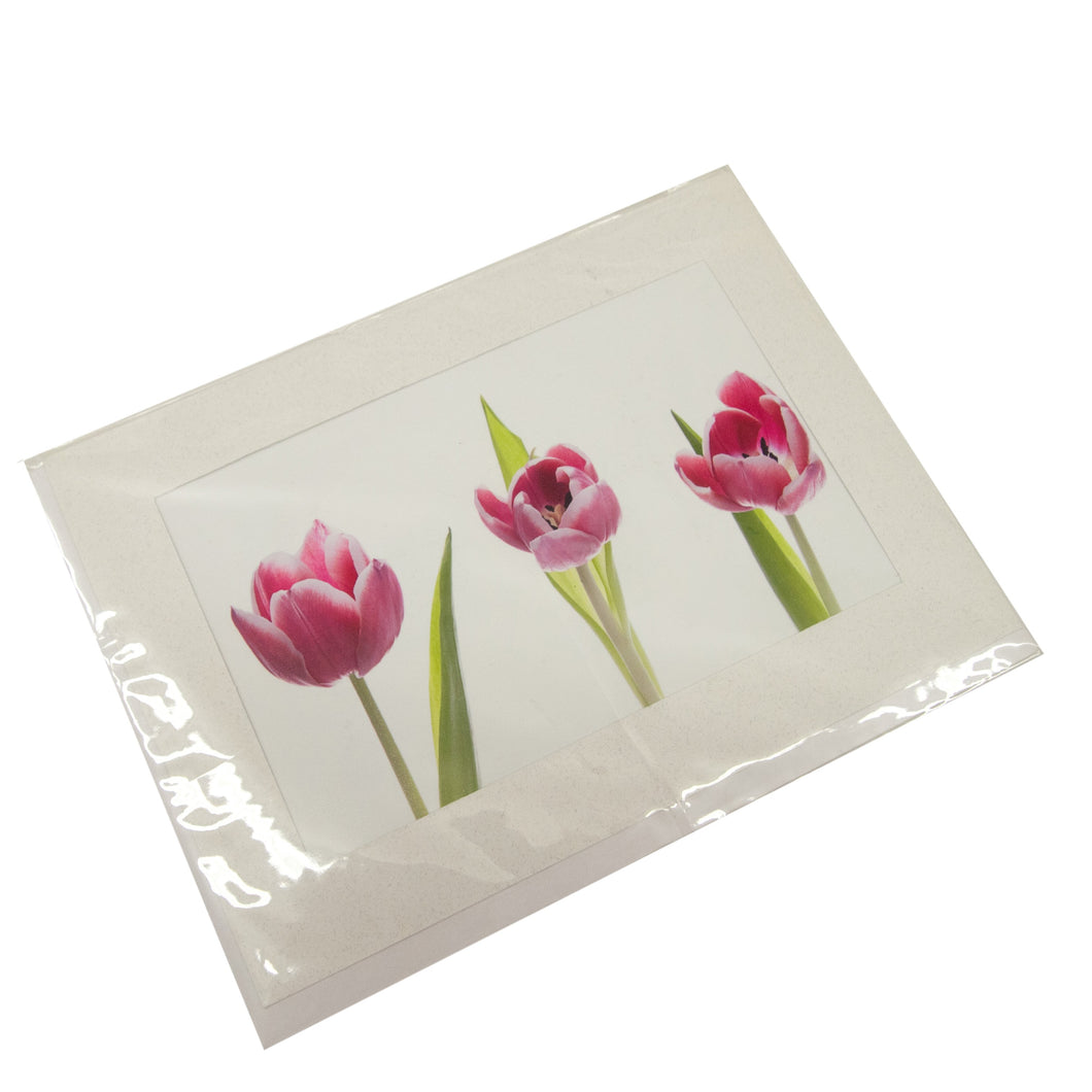 Three Tulips Flower Photograph Card