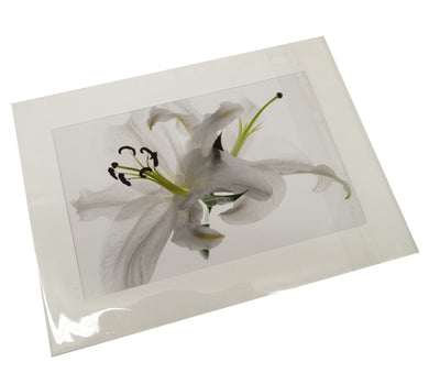 White Lilies Flower Photograph Card