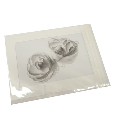 Two White Roses Photograph Card
