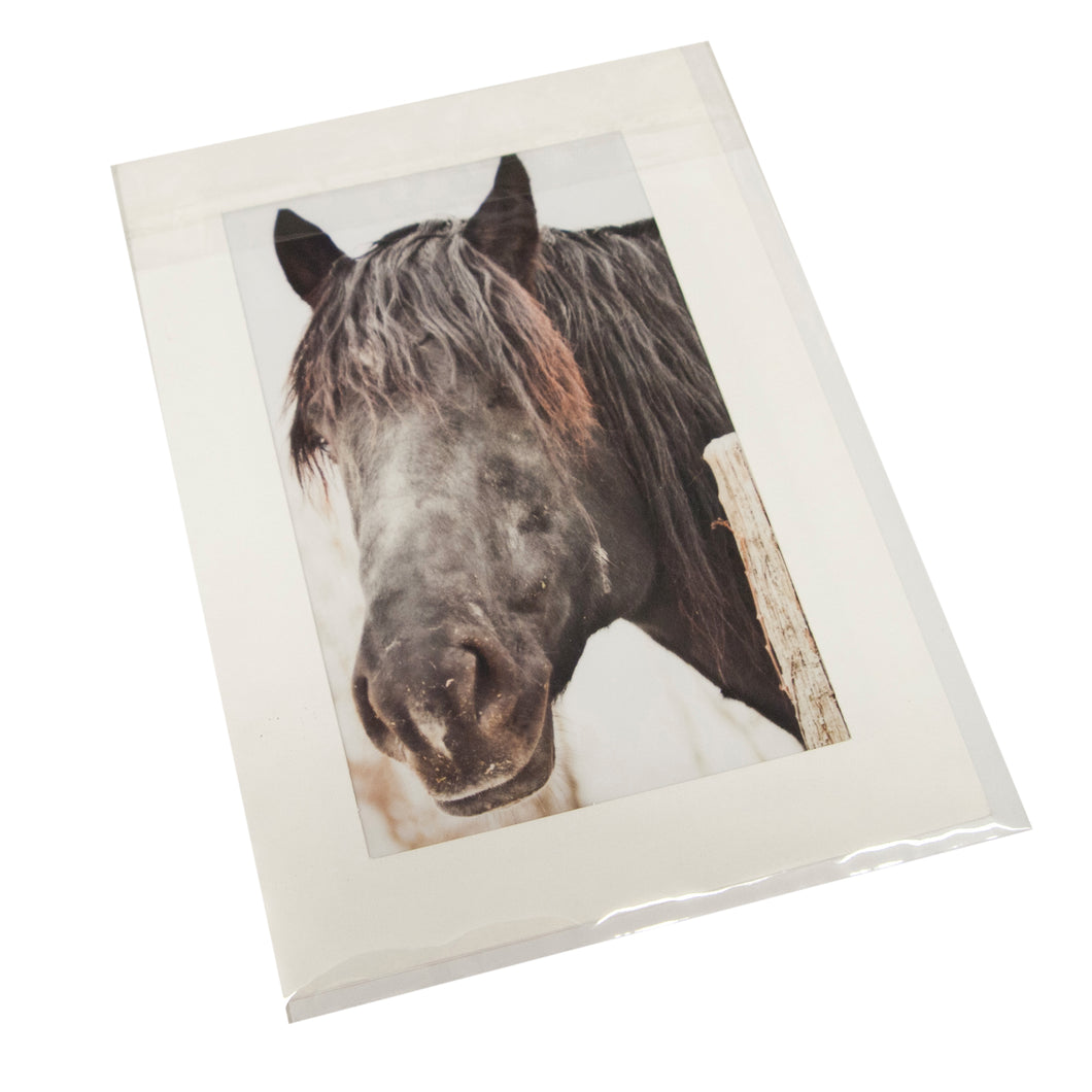 Handsome Horse Card