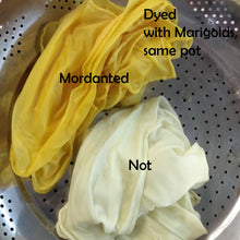 Load image into Gallery viewer, VIRTUAL Mordanting for Natural Dyes