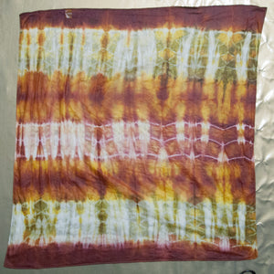 Dyeing with Nature Workshop