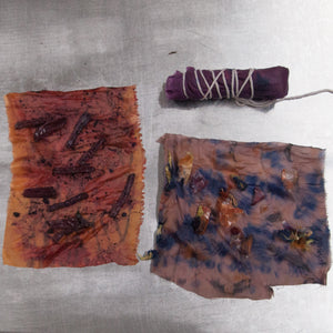 Intensive Natural Dyes Workshop; 2 day Series